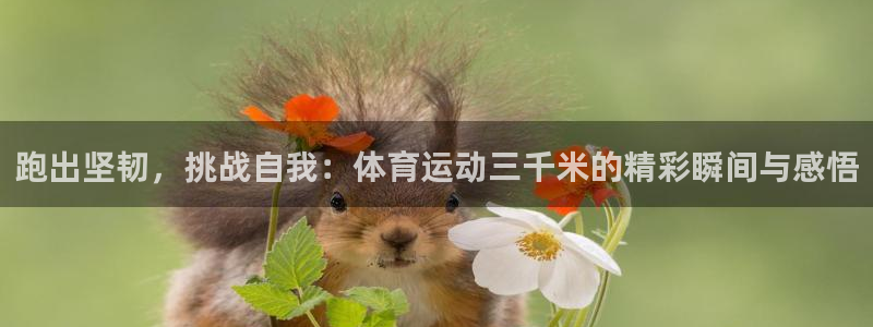 熊猫体育平台
