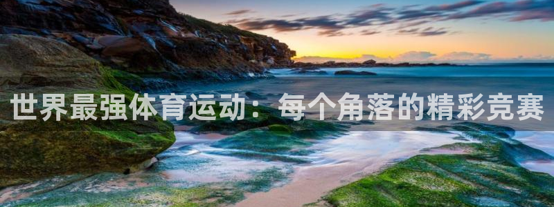 熊猫体育网站：世界最强体育运动：每个角落的精彩竞赛