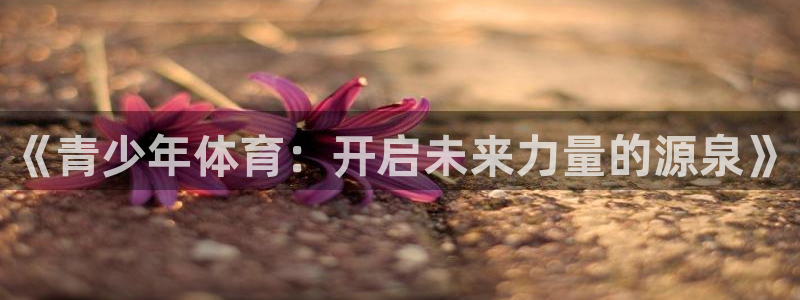 熊猫体育公园