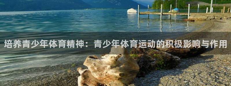 熊猫体育公园