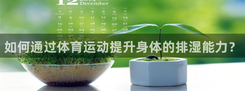 熊猫体育app下载安装