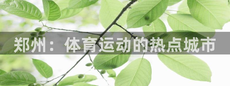 熊猫体育手机版下载：郑州：体育运动的热点城市