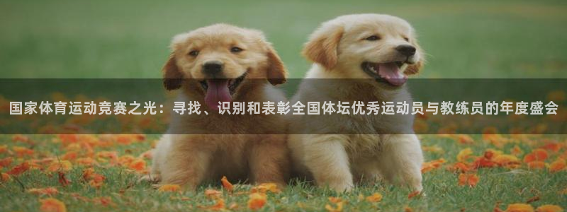 熊猫体育app官网入口：国家体育运动竞赛之光：寻找、识别和表彰全国体坛优秀运动员与教练员的年度盛会