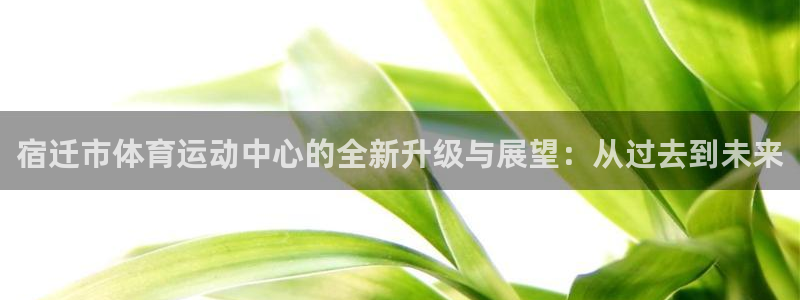 中山熊猫体育：宿迁市体育运动中心的全新升级与展望：从过去到未来