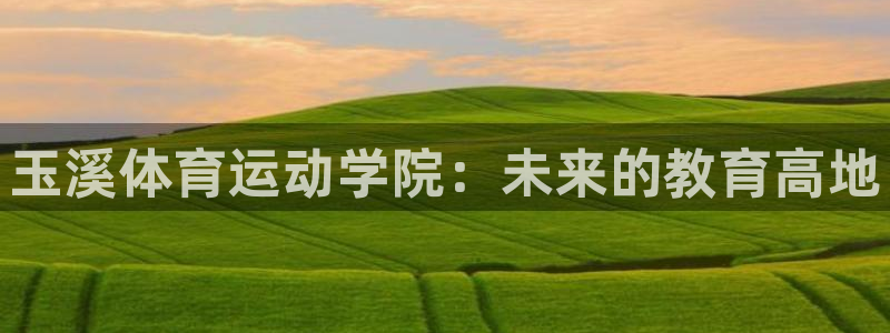 熊猫体育官网：玉溪体育运动学院：未来的教育高地
